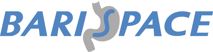 Barispace logo